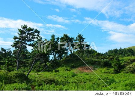 風景 観光 風 48588037