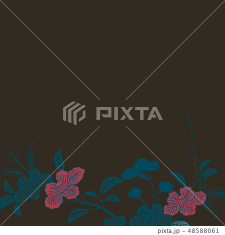 京文様 京文様 48588061