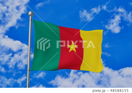 はためくカメルーンの国旗 48588155