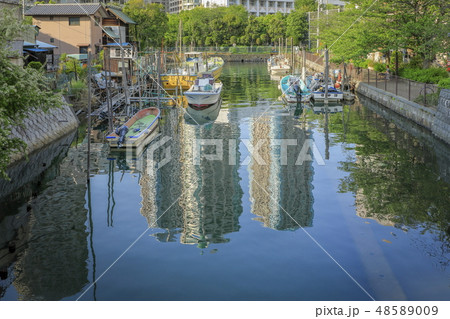 東京・下町・佃島 48589009