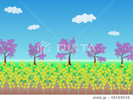 花のある風景 春 菜の花と桜並木のイラスト素材