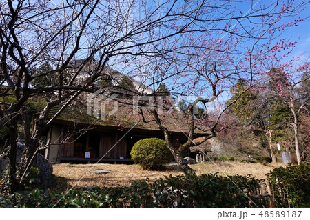 旧宮崎家住宅　釜の淵公園 48589187