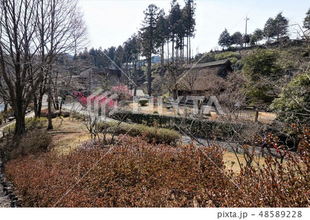 旧宮崎家住宅 釜の淵公園 旧宮崎家住宅 釜の淵公園 48589228