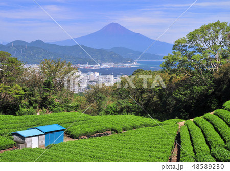 日本平からの風景-8781 48589230
