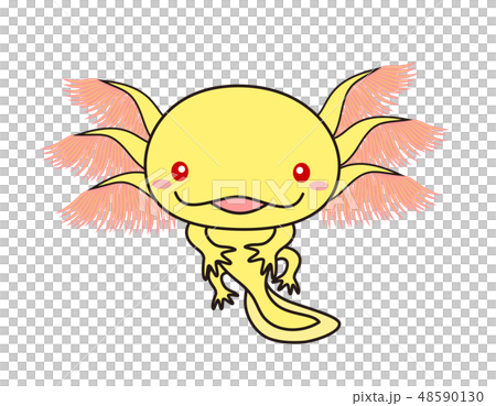 ウーパールーパー 全身 Axolotl ゴールデン アルビノのイラスト素材