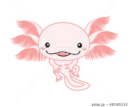 ウーパールーパー 全身 Axolotl ピンクのイラスト素材