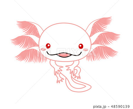 ウーパールーパー 全身 Axolotl アルビノのイラスト素材