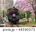 Train with cherry blossom in japan 48590373
