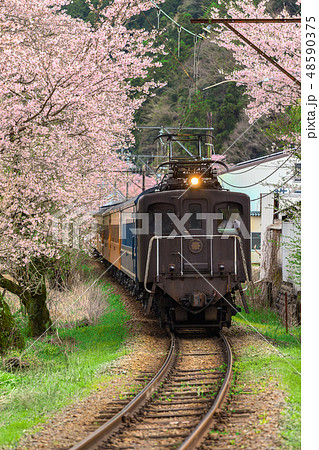Train with cherry blossom in japan 48590375