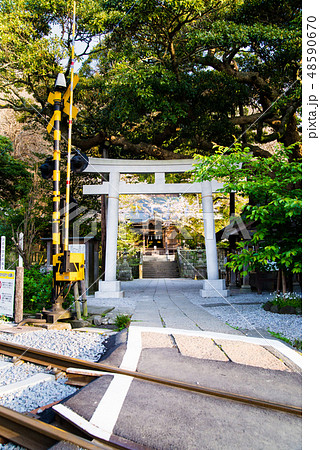 鎌倉 御霊神社の鳥居 鎌倉 御霊神社の鳥居 48590670