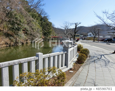 甲府の武田神社のお堀 甲府の武田神社のお堀 48590701