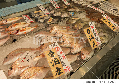 鮮魚店 鮮魚店 48591081