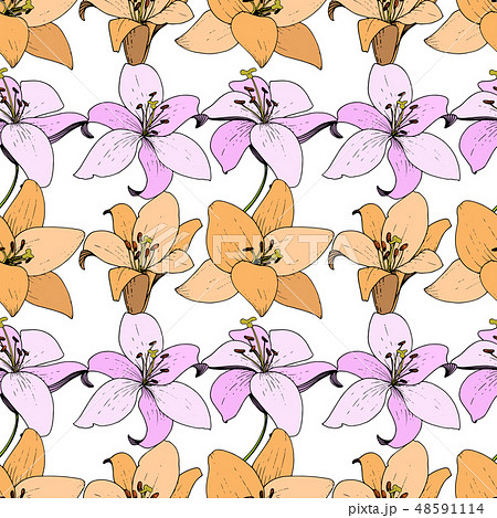 Vector Lily floral botanical flower. Engraved ink art. Seamless background pattern. Fabric wallpaper 48591114