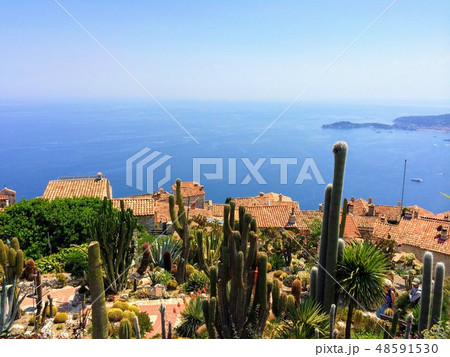 エズ村 エズ村 48591530