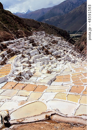 マラス塩田 48591563