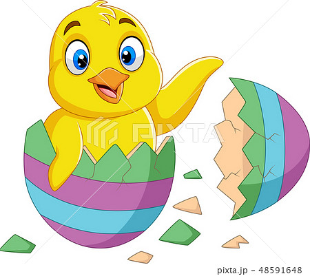 Cartoon little chick hatched from an egg Cartoon little chick hatched from an egg 48591648
