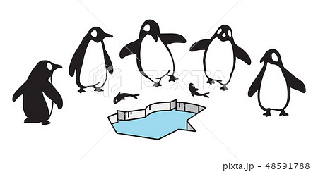 penguin vector icon logo cartoon character fish penguin vector icon logo cartoon character fish 48591788