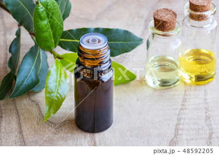 A bottle of bay leaf essential oil with bay leaves 48592205