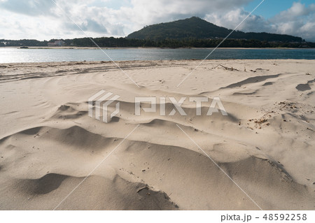 Sand dunes of the beach in the northern Portugal	 48592258