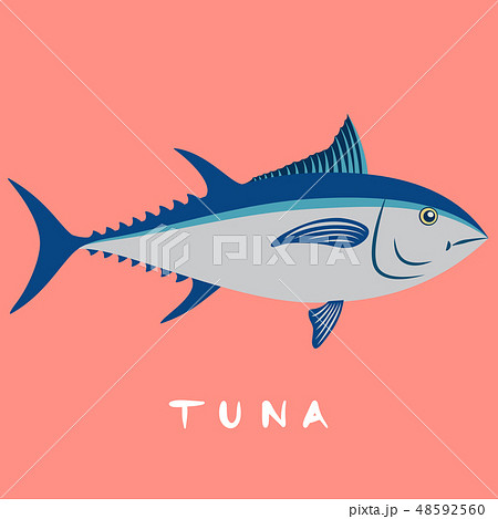 Tuna Fish Isolated On Pink Background Vectorのイラスト素材