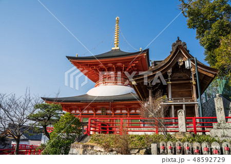 梅が満開の中山寺 48592729