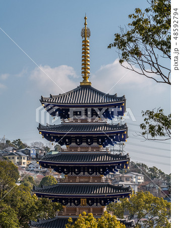 梅が満開の中山寺 梅が満開の中山寺 48592794