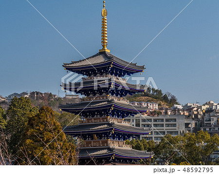 梅が満開の中山寺 48592795