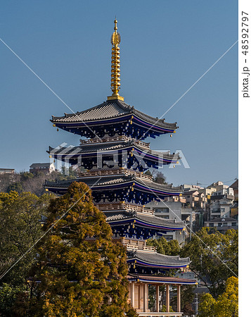 梅が満開の中山寺 梅が満開の中山寺 48592797