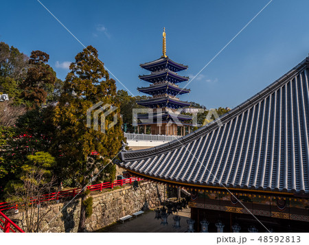 梅が満開の中山寺 48592813