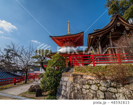 梅が満開の中山寺 48592815