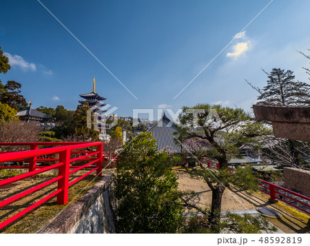 梅が満開の中山寺 48592819
