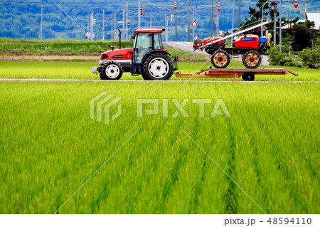 トラクターと水田 トラクターと水田 48594110