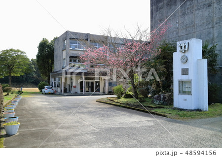 閉校した大口南中学校(現在はe-Gaなんちゅう) 閉校した大口南中学校(現在はe-Gaなんちゅう) 48594156