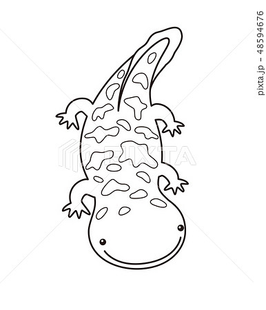 オオサンショウウオ ハンザキ Giant Salamander ぬりえのイラスト素材