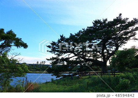 風景 観光 風 48594842