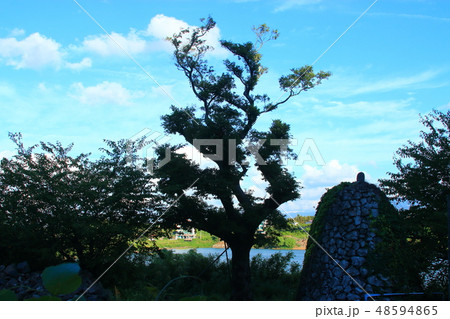 風景 観光 風 48594865