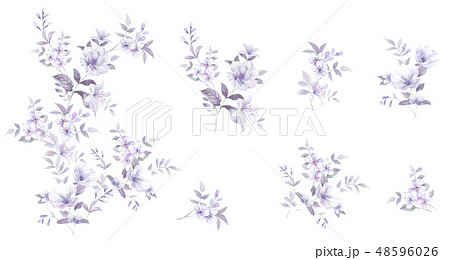 透明水彩 水彩画 花 48596026