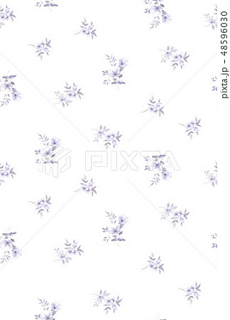 透明水彩 水彩画 花 48596030