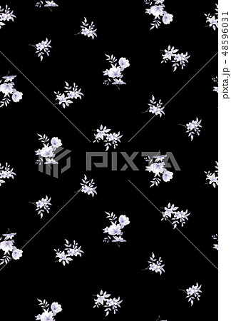 透明水彩 水彩画 花 48596031