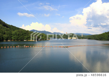さが21世紀県民の森　北山ダムのダム湖周辺に広がる整備された森の自然公園 48596616