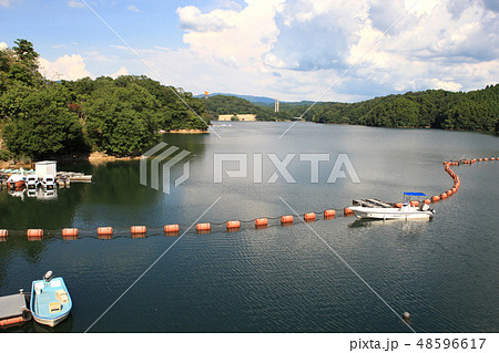 さが21世紀県民の森　北山ダムのダム湖周辺に広がる整備された森の自然公園 48596617