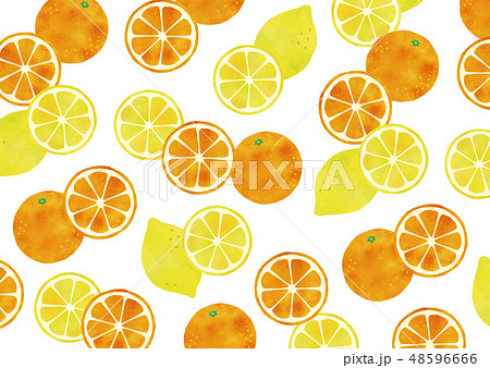 柑橘テクスチャ水彩のイラスト素材