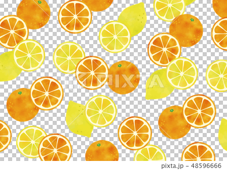 柑橘テクスチャ水彩のイラスト素材 48596666 Pixta
