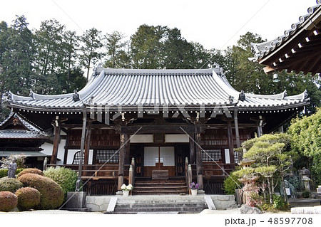 九品寺11 九品寺11 48597708