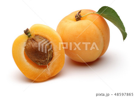 Fresh apricot fruits with leaf isolated on white Fresh apricot fruits with leaf isolated on white 48597865