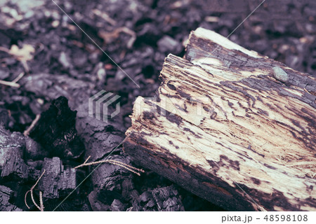 Detail of tree log firewood on burnt hot charcoal 48598108