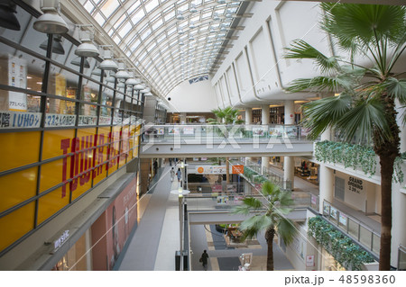 ららぽーと TOKYO-BAY室内 ららぽーと TOKYO-BAY室内 48598360