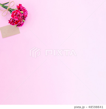 花 フラワー お花 48598641