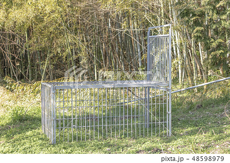 野生動物用の罠の檻 48598979