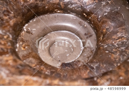 アンモナイトの化石の中心部 48598999